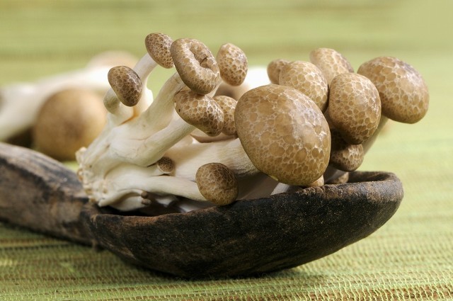 口感鲜香无比，菌菇种类中比较独特的菌种——蟹味菇-图1