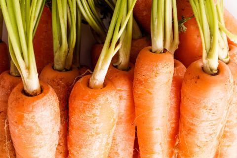 吃胡萝卜有什么好处 降糖降脂有效改善贫血