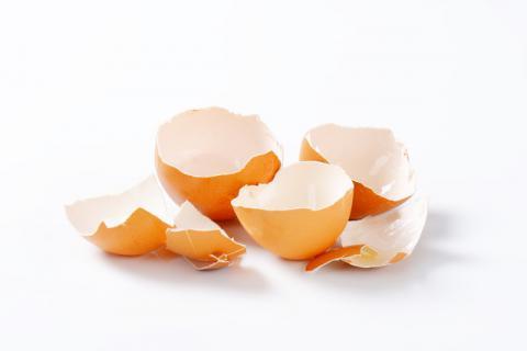 鸡蛋壳的10种妙用 清洁漂白还治病