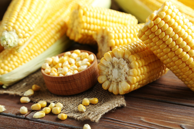 玉米糁和玉米面有哪些区别
