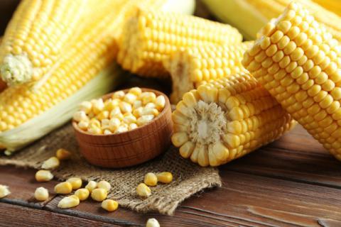 吃玉米对身体有哪些好处，玉米糁和玉米面有哪些区别