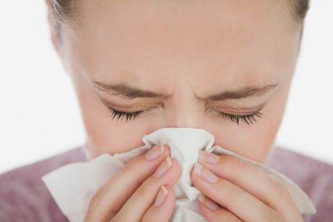 鼻孔花粉过敏怎么办呢