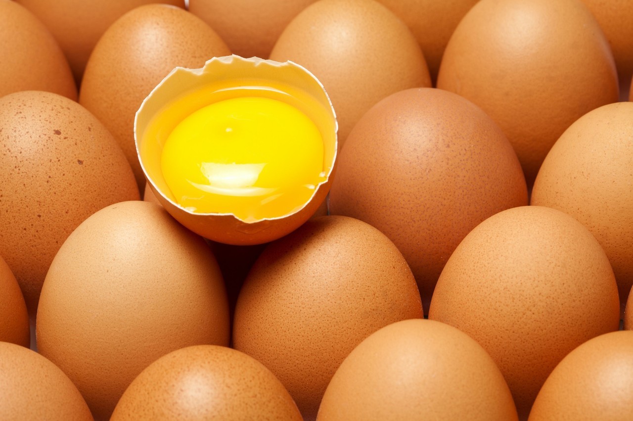 咸鸡蛋发苦是怎么回事？原因在这里
