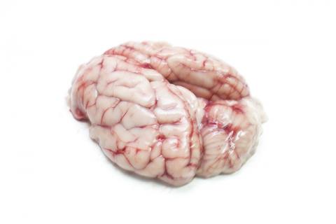 男人吃猪脑有什么危害，吃猪脑的注意事项？