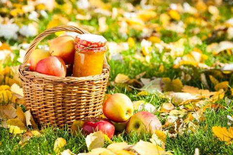 十月份应季蔬菜水果，十月饮食注意事项