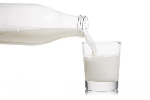 牛奶能冷藏吗?冷藏的牛奶取出来不要直接喝