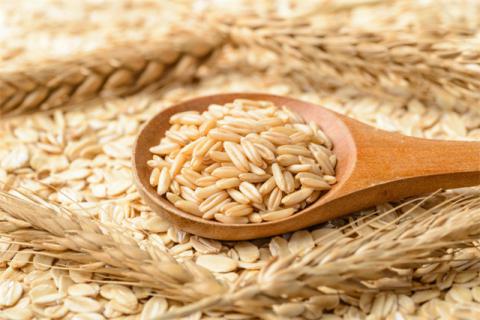 糙米发芽了还能吃吗？发芽糙米的营养功效