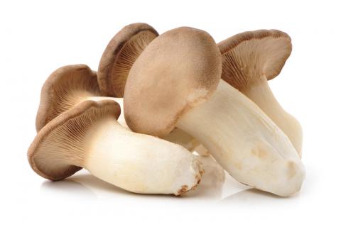 误食毒蘑菇怎么办?如何判断是否服用蘑菇中毒?