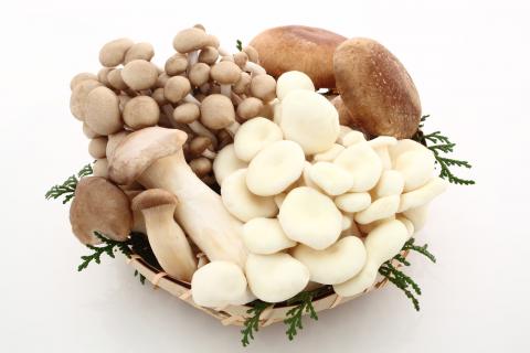 蘑菇为什么会有酒味?有酒味的蘑菇还能吃吗?