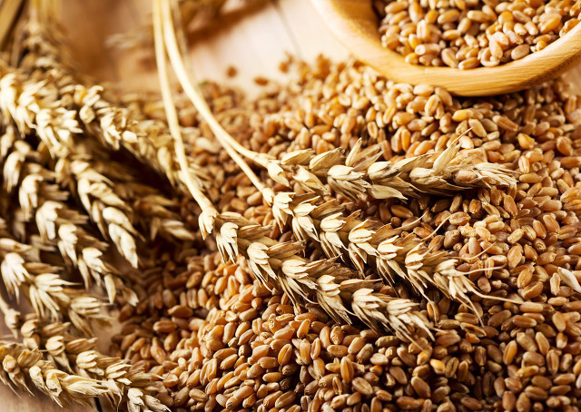 小麦属于粗粮还是细粮