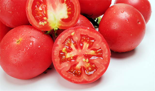 为什么现在的西红柿很难吃