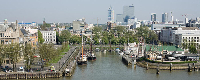 鹿特丹人口图片