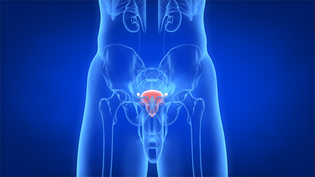 男性怎么预防前列腺疾病？哪些食物有益于前列腺健康？
