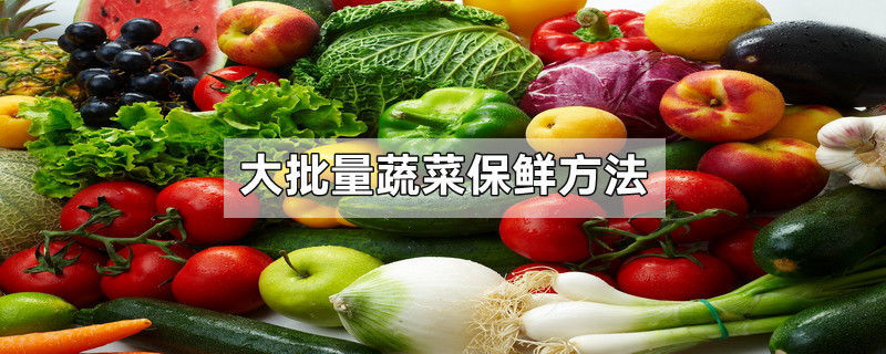 大批量蔬菜保鲜方法