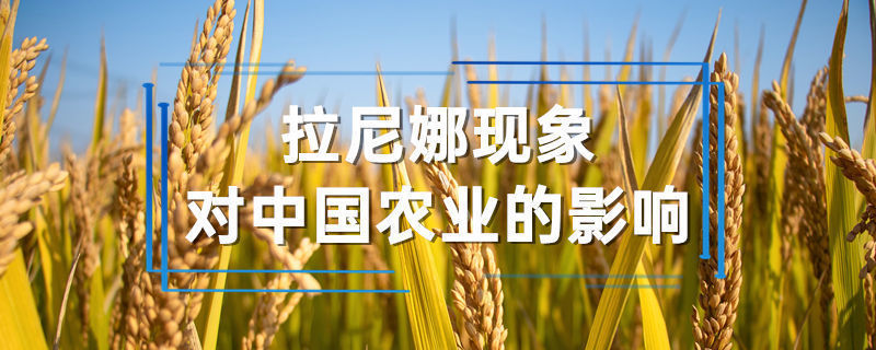 拉尼娜现象对中国农业的影响