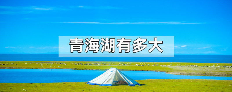 「青海湖的面积多大平方千米」✅ 青海湖的面积是多少万平方公里