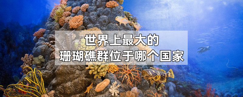 世界上最大的珊瑚礁群位于哪个国家
